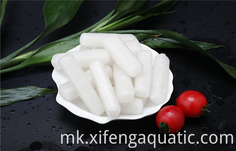 Squid Stripe Squid Stripe